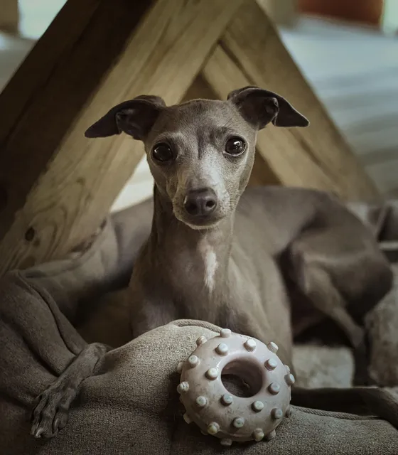 Paolo 